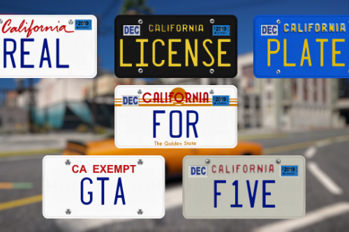 Real Lic Plates: A Guide